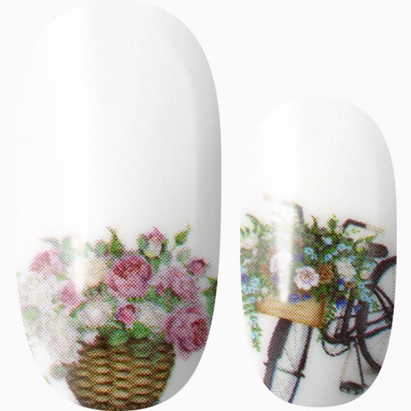 Country Blooms