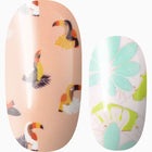 Tropical Paradise