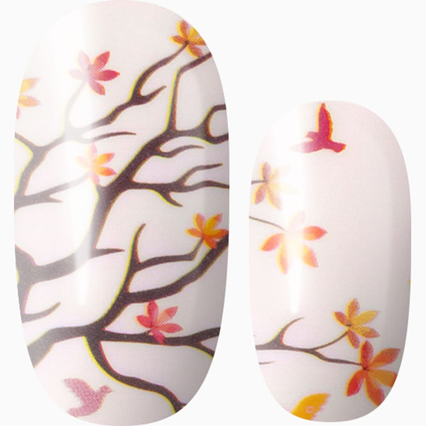 Fall Is In The Air