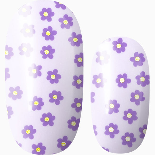 Lavender Blooms