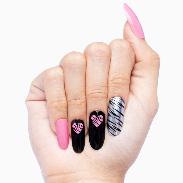 Zebra Love
