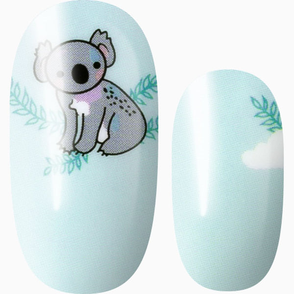 Koala-ty Tips