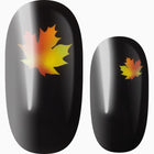 Sweet Maple